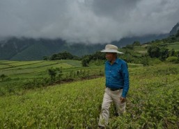 国产免费毛卡片在着国产免费毛卡片市崛起背后引发的争议与反思